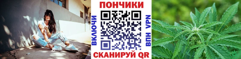 Каннабис сатива  Купить закладки  Фатеж 